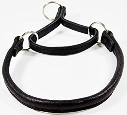 rolled leather dog collar