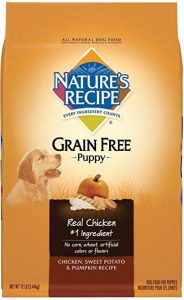 Product photo: Nature's Recipe Grain-Free Dry Dog Food. Click to check price.
