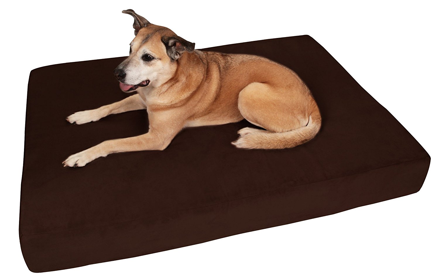 Big Barker best dog beds