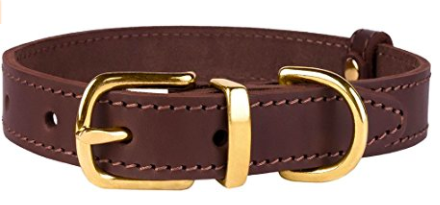 standard leather dog collar