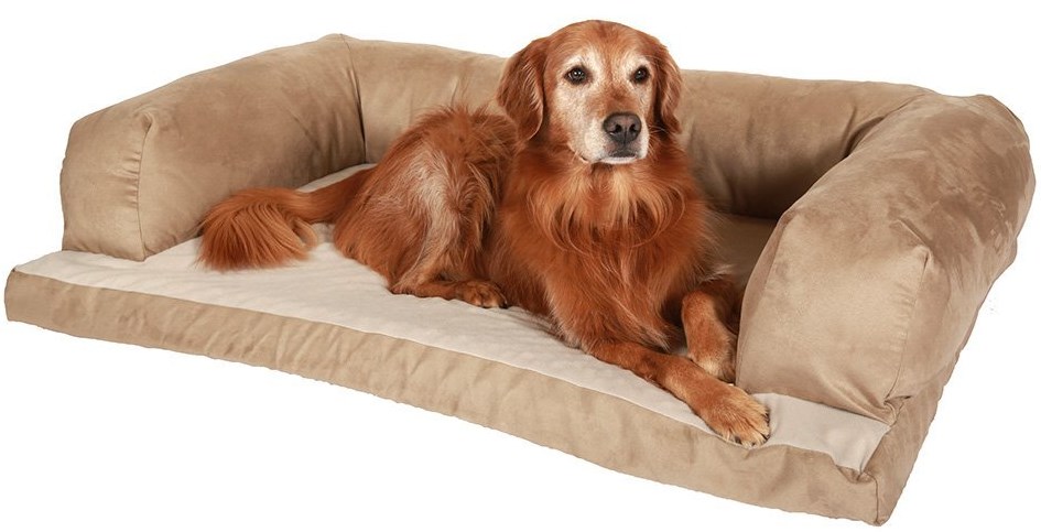 Beasley best dog beds