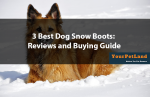 3-Best-Dog-Snow-Boots-Reviews-and-Buying-Guide
