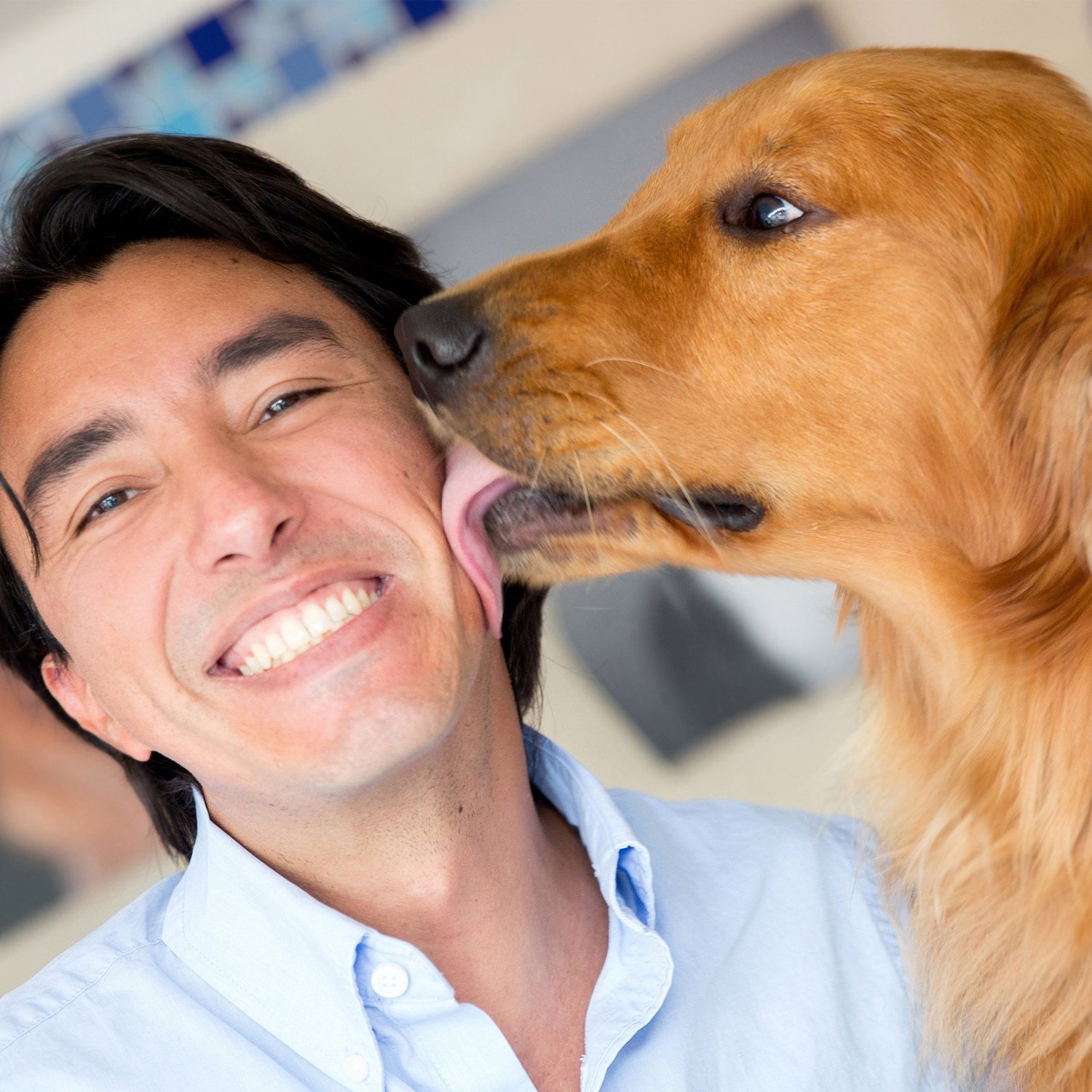 photo of a dog licking a man's left cheek