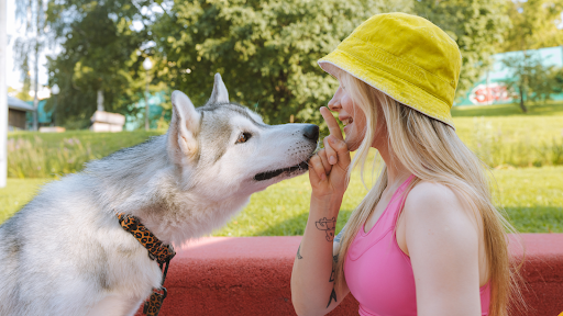 dog with her favorite person on a yellow cap