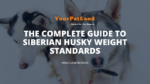 header image for The Complete Guide to Siberian Husky Weight Standards