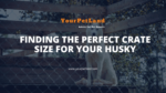 image header for Finding the Perfect Crate Size for Your Husky