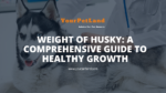 image header for Weight of Husky: A Comprehensive Guide to Healthy Growth